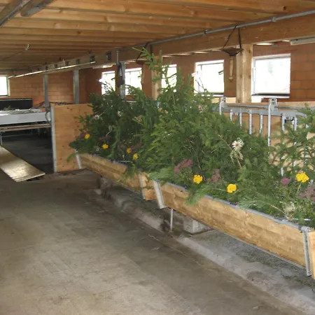 Hotel Bluemlisalp Grindelwald