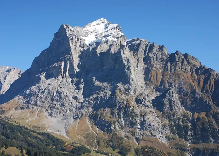 酒店 布卢姆里赛浦酒店