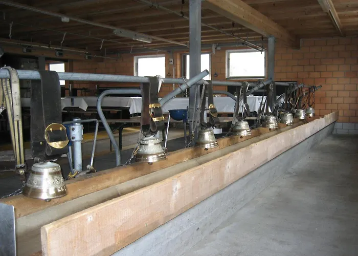 酒店 布卢姆里赛浦酒店