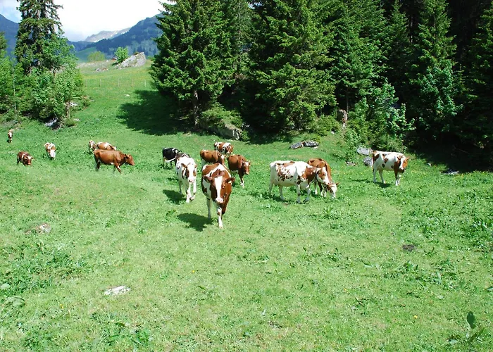 布卢姆里赛浦酒店