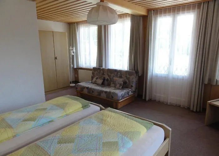 酒店 布卢姆里赛浦酒店 2*