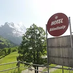 Bluemlisalp Hotel