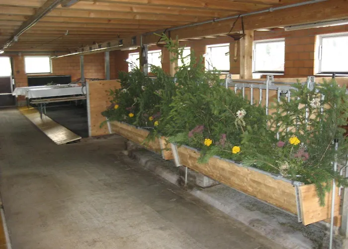 Hotel Bluemlisalp Grindelwald